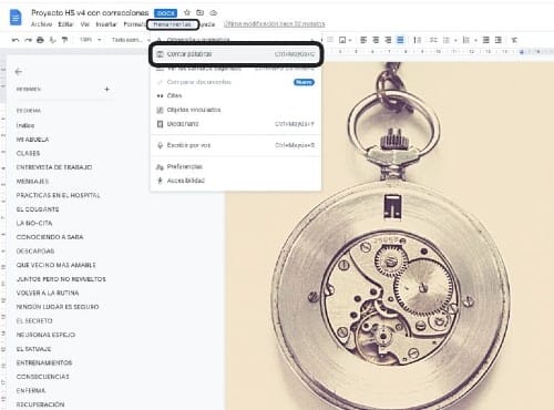 ¿Cómo saber cuántas matrices tiene mi manuscrito? 3 Pirra Smith Contar numero de matrices en Google Docs